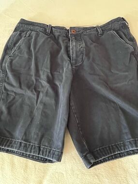 Hollister Dark Navy Flat-Front Cotton Shorts